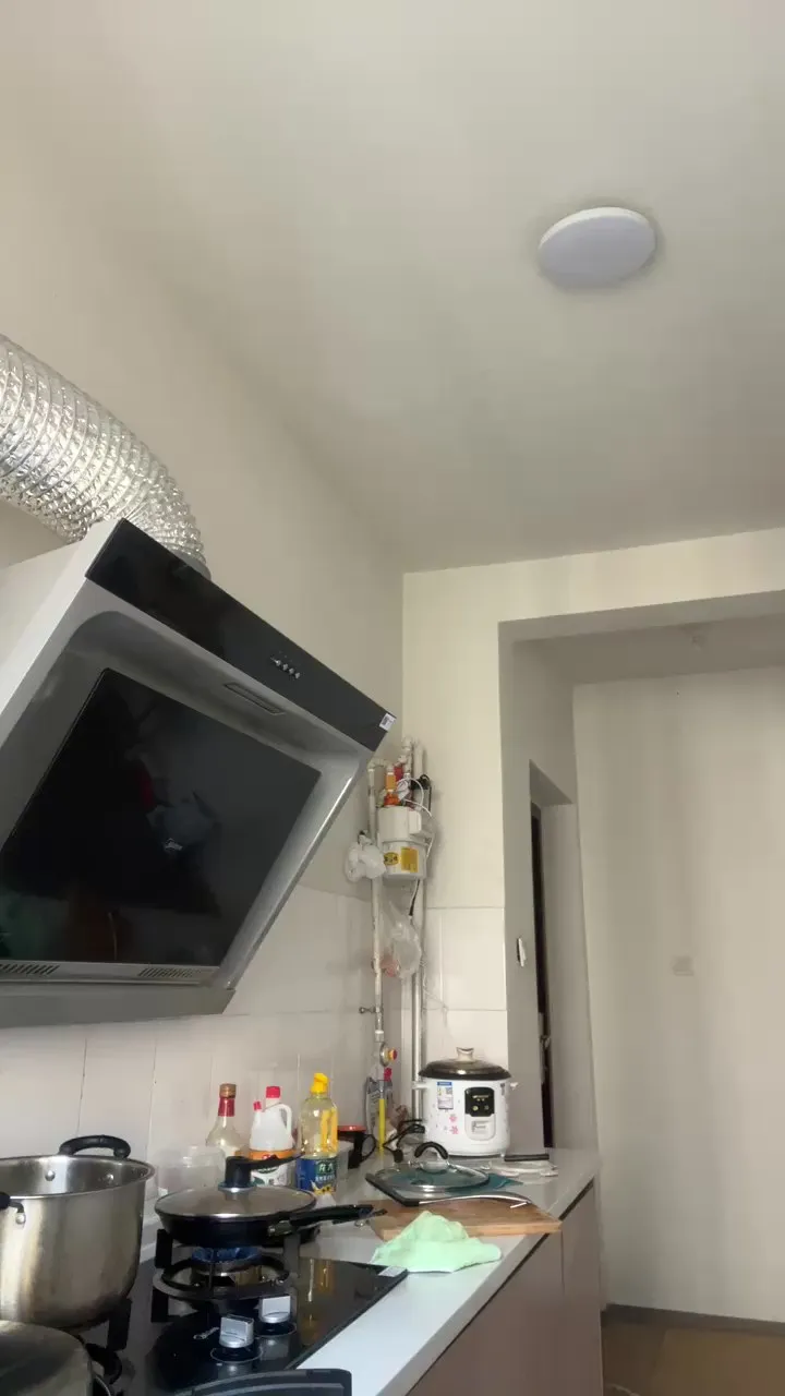 Dandolatoda's avatar