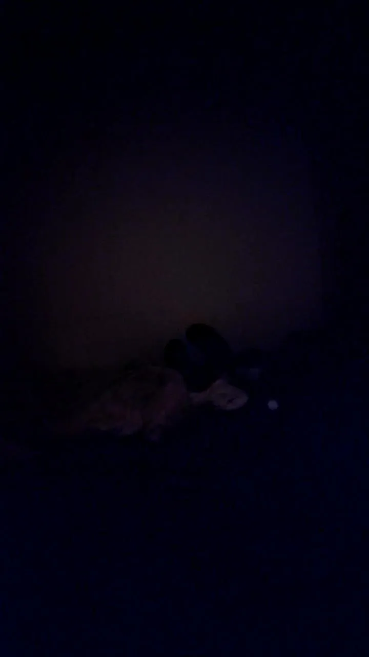 Decimefloraxx's avatar