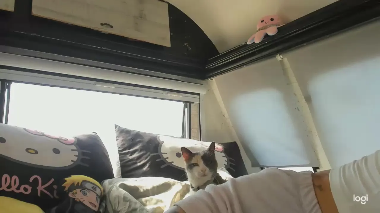 MartesBratty's avatar