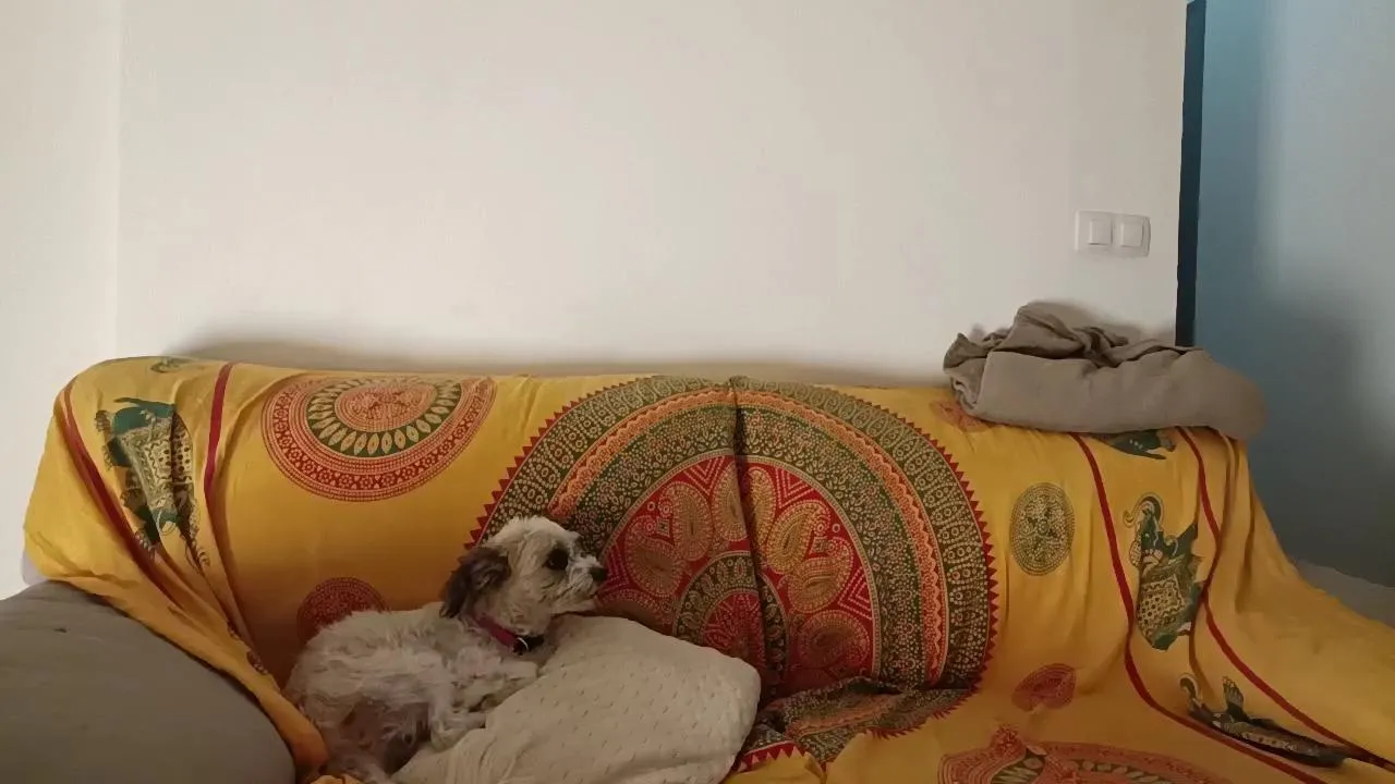 Miss_fantasy_'s avatar