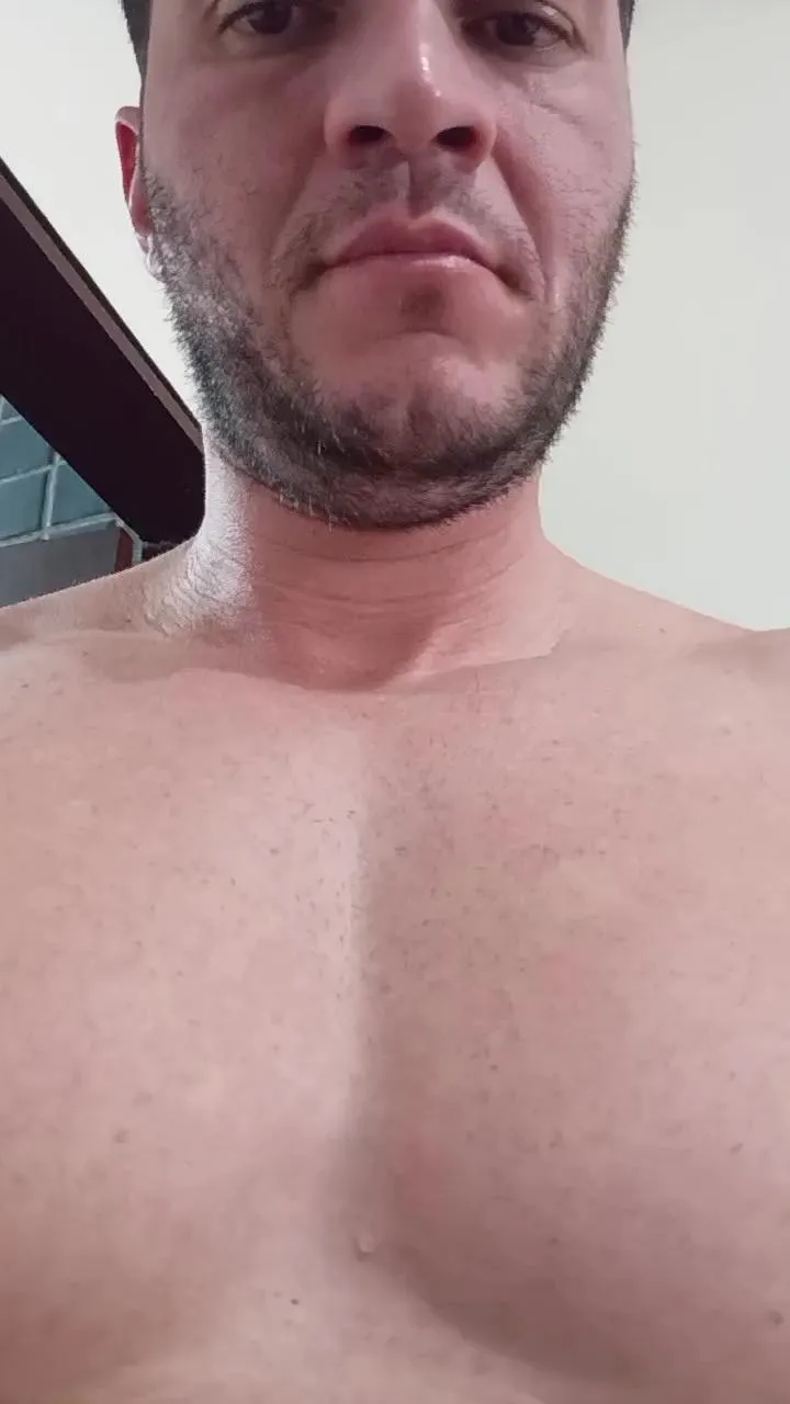 pampolhaxxx's avatar