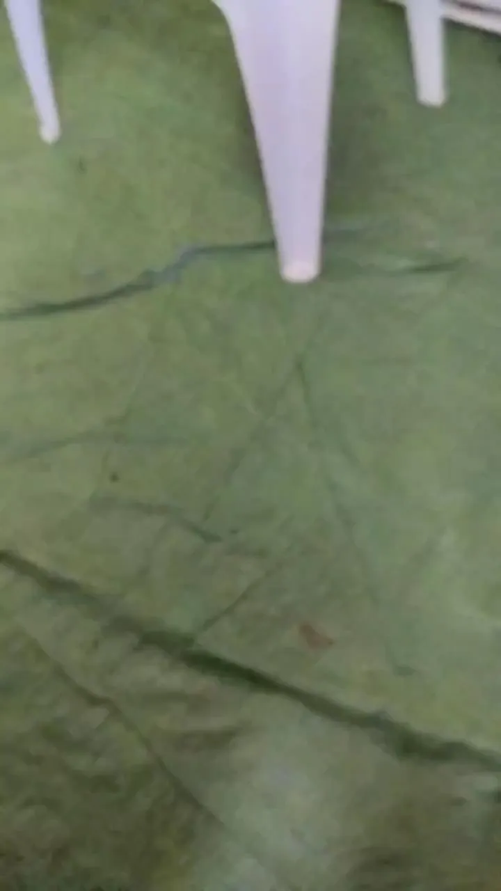 Petitebombe34's avatar