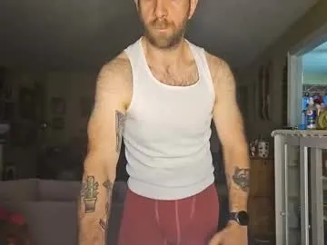 damien_mace's avatar