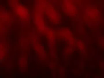 kloelamaravilla18 — OIL SHOW TONIGHT ... @GOAL 25 SKIRT OFF @GOAL 40 #latina #bigass #bigboobs #curvy #squirt - Multi-Goal :  reach goal 40 and find out #Lovense #Ohmibod #interactivetoy