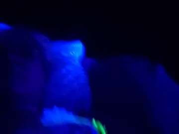 mistitwilight — lets have some fun, undress me with your #tips - Goal: undress me [80 tokens left] #tattooed #makemecum #tightass #skinnywaist #sexy