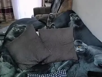 Chaturbate tviks is Freechat tviks — lush:every7@goals #naked, #squirt  im Lana,tip me please 11,77,222,for domi-77 or 100, love you - Multi-Goal :  Hi guys** make me #wet, #cum, #bbw, #glasses #Lovense