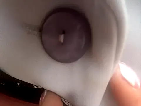 _Bella-Office1's avatar