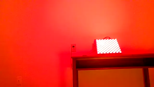 bellacagyal's avatar