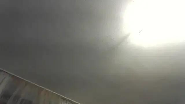 conchitopreggo's avatar