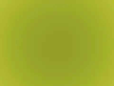 Lusty_Aliya — nasty in pvt