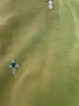 StripChat Miss_lellela is Freechat Miss_lellela — ASS SHOW