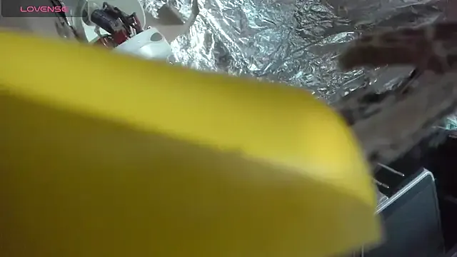 shayla_brown_'s avatar