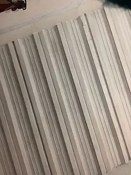 The_wickles_4443's avatar